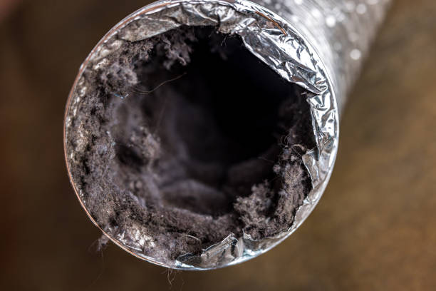 Best Ventilation Cleaning Services  in Golden Meadow, LA